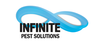 https://www.thesharef.com/wp-content/uploads/2025/06/SHARE-Infinite-Pest.png